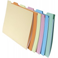 Exacompta - Ref. 337000E - 10 jeux de 6 chemises a  onglets pour tiroir SUPER 210 g/m² - couleurs pastel - chemises certifiees P