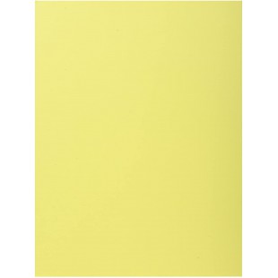 Exacompta - Ref. 348005E - Paquet de 100 chemises semi rigides avec 1 rabat SUPER 160 g/m² - couleurs pastel - chemises certifie