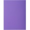 Exacompta - Ref. 800008E - Paquet de 100 sous-chemises ROCK''S 80 g/m2 aux couleurs vives - sous chemises certifiees PEFC - dime