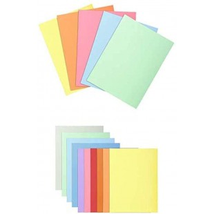 Pack Exacompta - A/Paquet de 250 sous-chemises SUPER certifiees PEFC, couleurs pastel assorties + B/Paquet de 100 chemises semi-