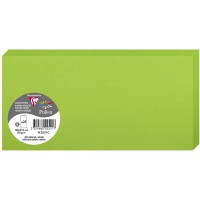 Clairefontaine 2521C - Paquet de 25 Cartes Doubles - Format DL 10,6x21,3cm - 210g/m² - Coloris Vert Menthe - Cartons d'Invitatio