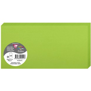 Clairefontaine 2521C - Paquet de 25 Cartes Doubles - Format DL 10,6x21,3cm - 210g/m² - Coloris Vert Menthe - Cartons d'Invitatio