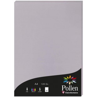 Clairefontaine 4232C - etui de 50 Feuilles - Format A4 (21x29,7cm) - 120g/m² - Coloris Gris Koala - Papier d'Invitation Evenemen