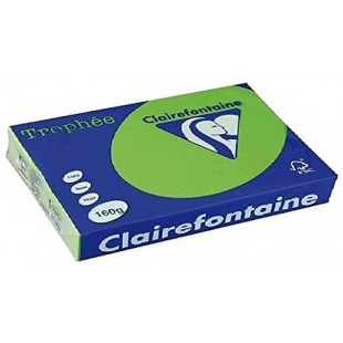 TROPHeE Ramettes 250 Feuilles Papier 160g A4 210x297 mm Certifie FSC Vert menthe
