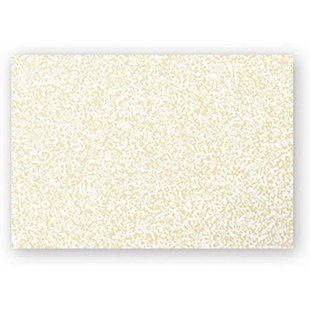Clairefontaine 11288C - Paquet de 25 Cartes Simples - Format 7x9,5cm - 210g/m² - Coloris Ivoire Irise - Cartons d'Invitation Eve