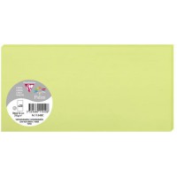 Clairefontaine 11540C - Paquet de 25 Cartes Simples - Format DL 10,6x21,3cm - 210g/m² - Coloris Vert Bourgeon - Cartons d'Invita