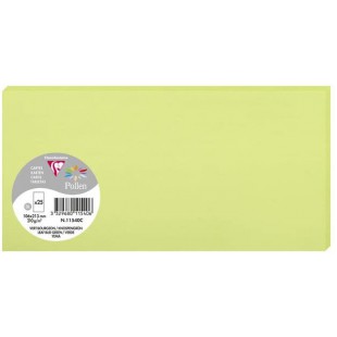 Clairefontaine 11540C - Paquet de 25 Cartes Simples - Format DL 10,6x21,3cm - 210g/m² - Coloris Vert Bourgeon - Cartons d'Invita