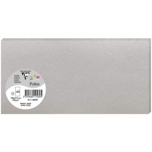 Clairefontaine 11589C - Paquet de 25 Cartes Simples - Format DL 10,6x21,3cm - 210g/m² - Coloris Argent - Cartons d'Invitation Ev