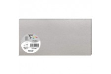 Clairefontaine 11589C - Paquet de 25 Cartes Simples - Format DL 10,6x21,3cm - 210g/m² - Coloris Argent - Cartons d'Invitation Ev