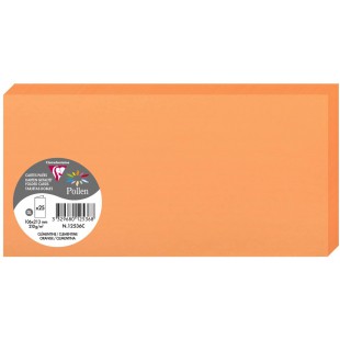 Clairefontaine 12536C - Paquet de 25 Cartes Doubles - Format DL 10,6x21,3cm - 210g/m² - Coloris Clementine - Cartons d'Invitatio