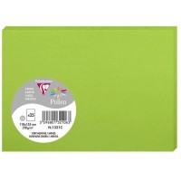 Clairefontaine 1321C - Paquet de 25 Cartes Simples - Format C6 11x15,5cm - 210g/m² - Coloris Vert Menthe - Cartons d'Invitation 