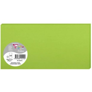 Clairefontaine 1521C - Paquet de 25 Cartes Simples - Format DL 10,6x21,3cm - 210g/m² - Coloris Vert Menthe - Cartons d'Invitatio
