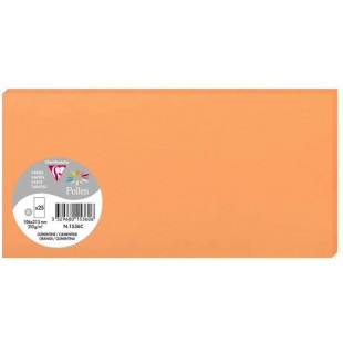 Clairefontaine 1536C - Paquet de 25 Cartes Simples - Format DL 10,6x21,3cm - 210g/m² - Coloris Clementine - Cartons d'Invitation