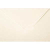 Clairefontaine 1617C - Paquet de 25 Cartes Simples - Format 15,8x22,2cm - 210g/m² - Coloris Ivoire - Cartons d'Invitation Evenem