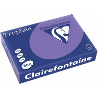 Clairefontaine 30957 Papier Trophee Multifonctions A4 80g/m2 Violine Ramette Lot de 500 Vert