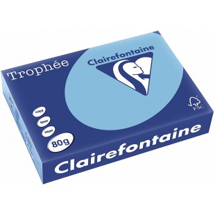 Clairefontaine 38754 Papier Trophee Multifonctions A4 80g/m2 Lavande Ramette Lot de 500 Gris