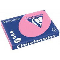 Clairalfa 1998C Lot de 12 perforatrices Motif automne