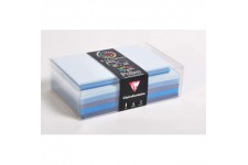 Clairefontaine 20861C - Correspondance Pollen - Coffret 40 Enveloppes 9x14cm + 40 Cartes Simples 8,2x12,8cm - Theme B