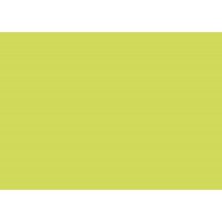 Clairefontaine 21240C - Paquet de 25 Cartes Simples - Format 7x9,5cm - 210g/m² - Coloris Vert Bourgeon - Carton d'Invitation Eve