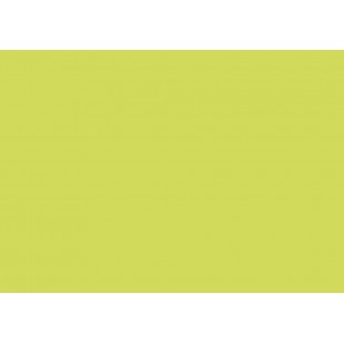 Clairefontaine 21240C - Paquet de 25 Cartes Simples - Format 7x9,5cm - 210g/m² - Coloris Vert Bourgeon - Carton d'Invitation Eve