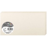 Clairefontaine 22586C - Un paquet de 25 cartes pliees Pollen 10,6x21,3 cm 210g, Ivoire irise