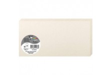 Clairefontaine 22586C - Un paquet de 25 cartes pliees Pollen 10,6x21,3 cm 210g, Ivoire irise