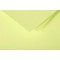 Clairefontaine 22840C - Un paquet de 25 cartes pliees Pollen 13,5x13,5 cm 210g, Vert bourgeon