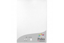 Clairefontaine 24385C - etui de 25 Feuilles - Format A4 (21x29,7cm) - 210g/m² - Coloris Blanc Irise - Papier d'Invitation Evenem