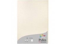 Clairefontaine 24386C - etui de 25 Feuilles - Format A4 (21x29,7cm) - 210g/m² - Coloris Ivoire Irise - Papier d'Invitation Evene