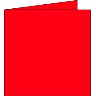 POLLEN Pqts de 25 Carte 210g pliee 135x135 rouge groseille