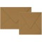 Clairefontaine 29003C - Un paquet de 20 enveloppes Pollen gommees 16,5x16,5 cm 120g, Kraft brun