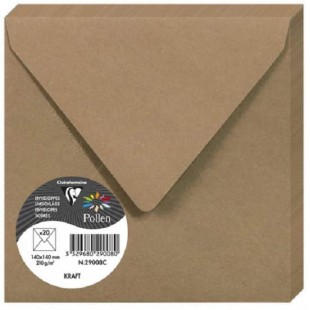 Clairefontaine 29008C - Un paquet de 20 enveloppes Pollen gommees 14x14 cm 120g, Kraft brun