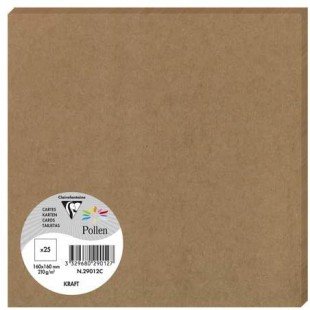 Clairefontaine 29012C - Un paquet de 25 cartes Pollen 16x16 cm 210g, Kraft brun