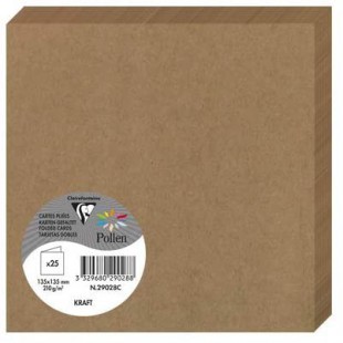 Clairefontaine 29028C - Un paquet de 25 cartes pliees Pollen 13,5x13,5 cm 210g, Kraft brun