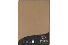 Clairefontaine 29135C - Un etui de 50 feuilles Pollen 21x29,7 cm 120g, kraft brun