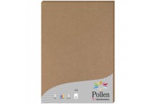 Clairefontaine 29205C - Un etui de 25 feuilles Pollen 21x29,7 cm 210g, kraft brun