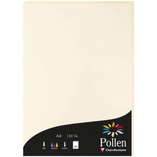 Clairefontaine 4204C - etui de 50 Feuilles - Format A4 (21x29,7cm) - 120g/m² - Coloris Ivoire - Papier d'Invitation Evenements e