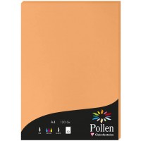 Clairefontaine 4208C - etui de 50 Feuilles - Format A4 (21x29,7cm) - 120g/m² - Coloris Clementine - Papier d'Invitation Evenemen