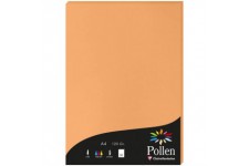 Clairefontaine 4208C - etui de 50 Feuilles - Format A4 (21x29,7cm) - 120g/m² - Coloris Clementine - Papier d'Invitation Evenemen