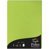 Clairefontaine 4215C - etui de 50 Feuilles - Format A4 (21x29,7cm) - 120g/m² - Coloris Vert Menthe - Papier d'Invitation Eveneme