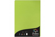 Clairefontaine 4215C - etui de 50 Feuilles - Format A4 (21x29,7cm) - 120g/m² - Coloris Vert Menthe - Papier d'Invitation Eveneme