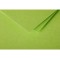 Clairefontaine 4215C - etui de 50 Feuilles - Format A4 (21x29,7cm) - 120g/m² - Coloris Vert Menthe - Papier d'Invitation Eveneme