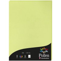 Clairefontaine 44205C - etui de 50 Feuilles - Format A4 (21x29,7cm) - 120g/m² - Coloris Vert Bourgeon - Papier d'Invitation Even