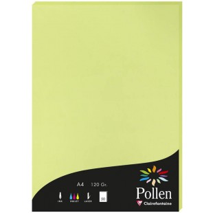 Clairefontaine 44205C - etui de 50 Feuilles - Format A4 (21x29,7cm) - 120g/m² - Coloris Vert Bourgeon - Papier d'Invitation Even