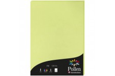 Clairefontaine 44205C - etui de 50 Feuilles - Format A4 (21x29,7cm) - 120g/m² - Coloris Vert Bourgeon - Papier d'Invitation Even