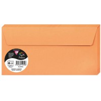 Clairefontaine 10347C - Sachet de 5 Cartes Simples - Format 10,5x14,8cm - 210g/m² - Coloris Terre Cuite - Invitation Evenements 