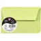 Clairefontaine 55471C - Paquet de 20 Enveloppes Auto-Adhesives - Format 9x14cm - 120g/m² - Coloris Vert Bourgeon - Invitation Ev