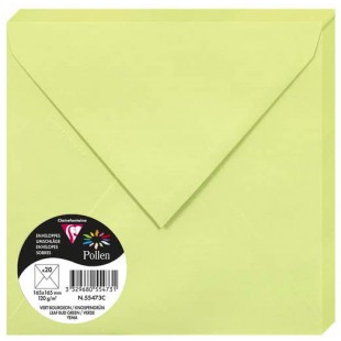 Clairefontaine 55473C - Paquet de 20 Enveloppes Gommees - Format Carre (16,5x16,5cm) - 120g/m² - Coloris Vert Bourge