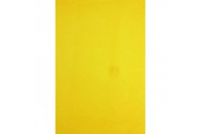 Clairefontaine 95416C - Sachet de 8 Feuilles de Papier de Soie 18g/m²- Format 0,75x0,50m - Papier Fin, Delicat et Resistant - Lo