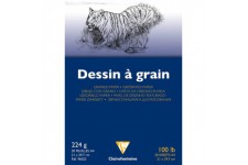 Clairefontaine 96023C Bloc Encolle Papier Dessin a Grain - 20 Feuilles Papier Dessin au Grain Marque - A4 21x29,7 cm